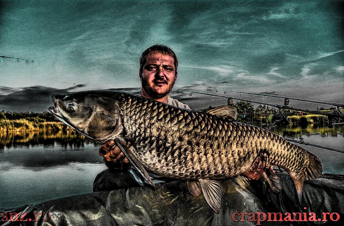 Cupa Seniorilor 2013 - 1010896hdrmode2.JPG